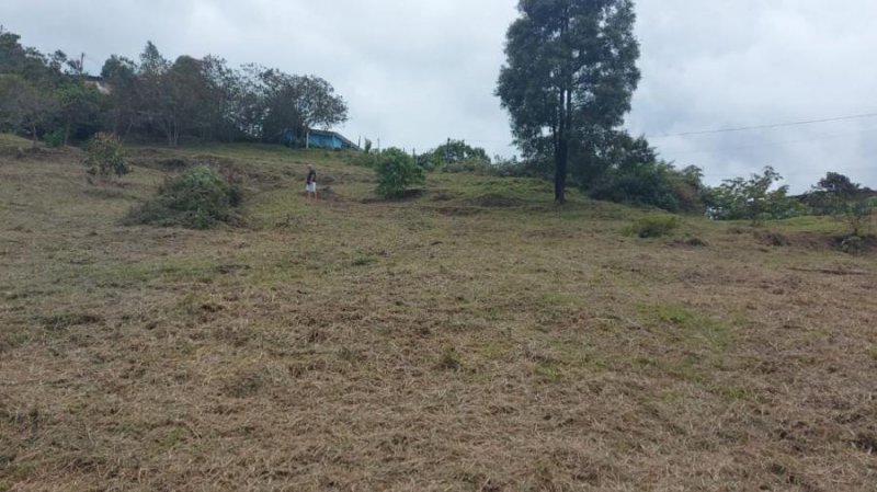 Foto Lote en Venta en Vereda La Pastorcita, Guarne, Antioquia - $ 250.000.000 - LOV192870 - BienesOnLine