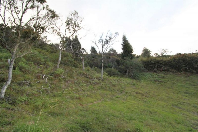 Foto Lote en Venta en Vereda San José, Guarne, Antioquia - $ 450.000.000 - LOV192903 - BienesOnLine