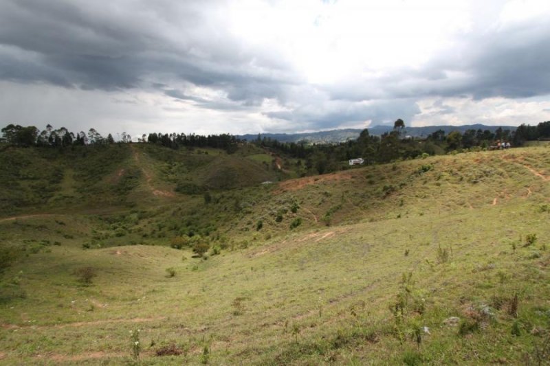 Foto Lote en Venta en Vereda Toldas, Guarne, Antioquia - $ 7.500.000.000 - LOV192782 - BienesOnLine