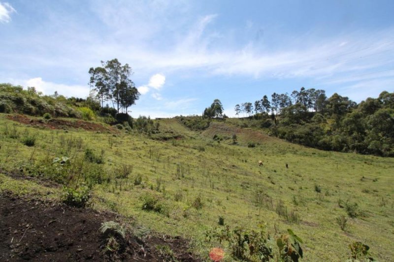 Lote en Venta en Vereda Toldas Guarne, Antioquia