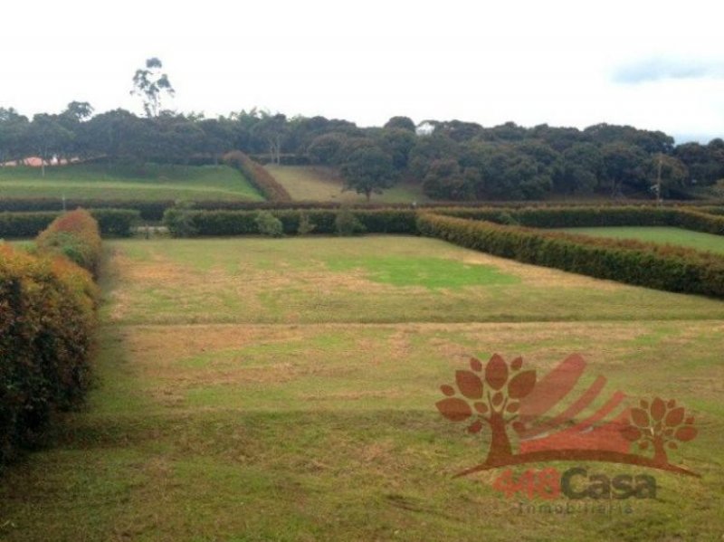 Foto Lote en Venta en Rionegro, Antioquia - $ 881.280.000 - LOV79392 - BienesOnLine