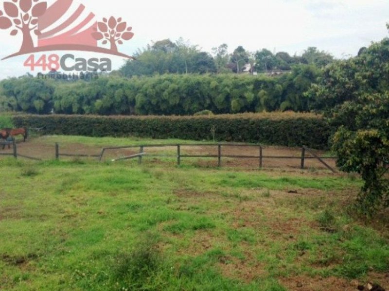 Foto Lote en Venta en Rionegro, Antioquia - $ 756.000.000 - LOV79393 - BienesOnLine
