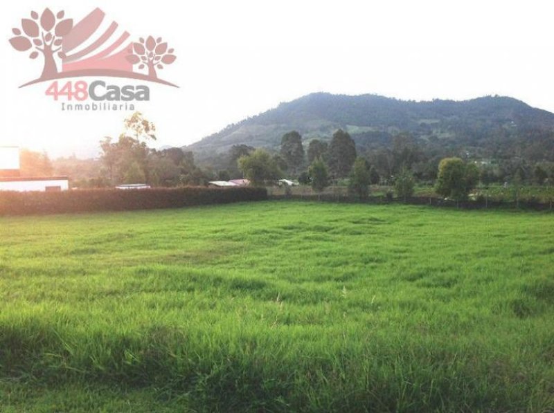 Foto Lote en Venta en San Antonio La Ceja, La Ceja, Antioquia - $ 313.000.000 - LOV84288 - BienesOnLine
