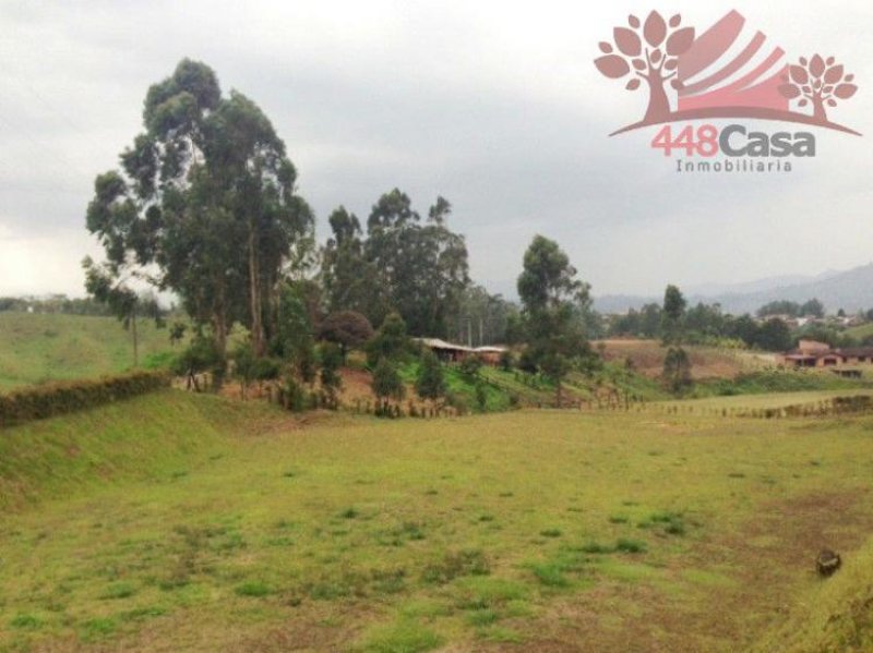Foto Lote en Venta en Llanogrande, Rionegro, Antioquia - $ 390.000.000 - LOV80781 - BienesOnLine
