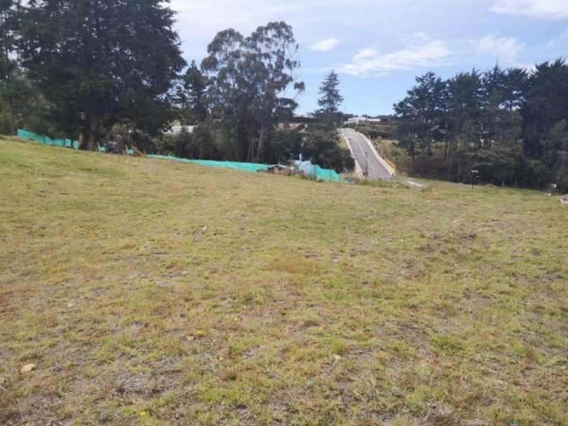 Foto Lote en Venta en Las Palmas, Guarne, Antioquia - $ 950.000.000 - LOV192905 - BienesOnLine