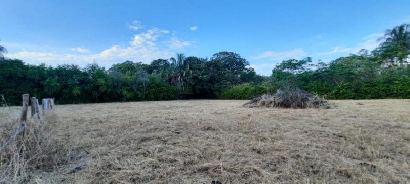 Lote en Venta en  Ricaurte, Cundinamarca