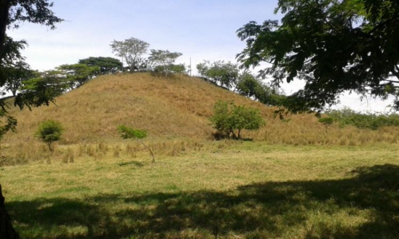 Foto Lote en Venta en Chiminangos, Cartago, Valle del Cauca - $ 100.000 - LOV74934 - BienesOnLine