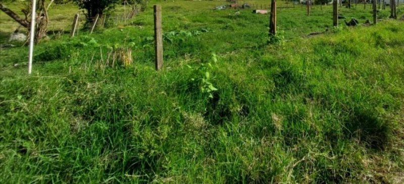 Lote en Venta en FUSAGASUGA FUSAGASUGA, Cundinamarca