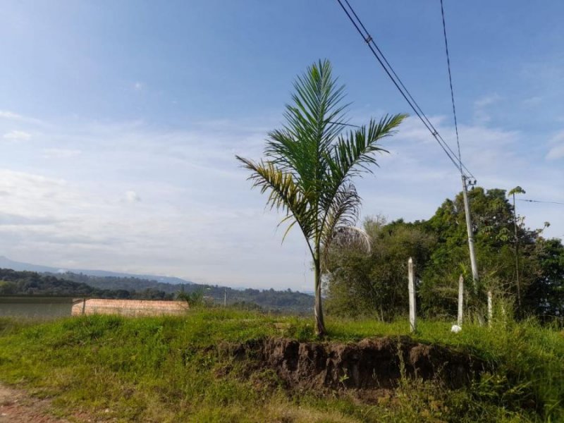 Lote en Venta en fusagasuga FUSAGASUGA  CUNDINAMARCA COLOMBIA, Cundinamarca