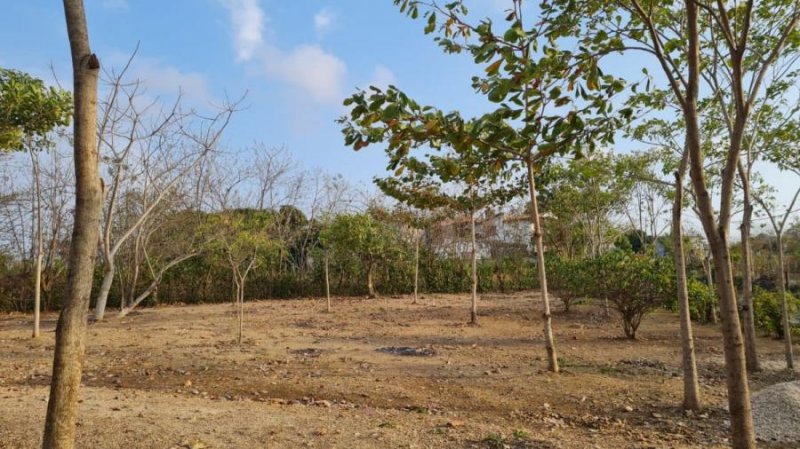 Lote en venta en San Antero, Monteria