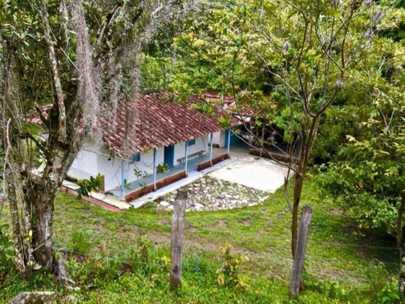 Foto Lote en Venta en VEREDA QUIMBAYO, Antioquia - $ 800.000.000 - LOV201469 - BienesOnLine