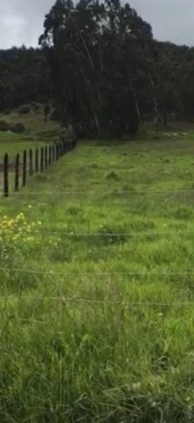 Lote en Venta en SUESCA CUNDINAMARCA SUESCA CUNDINAMARCA, Cundinamarca