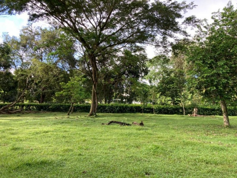 Foto Lote en Venta en VEREDA EL ESPINAL, Antioquia - $ 1.200.000.000 - LOV201470 - BienesOnLine