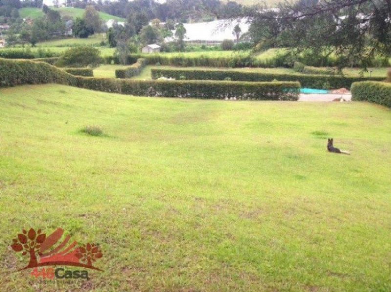 Foto Lote en Venta en Llanogrande, Rionegro, Antioquia - $ 360.000.000 - LOV87674 - BienesOnLine