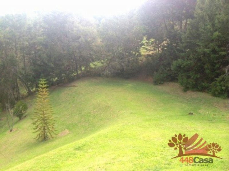 Foto Lote en Venta en Vereda Sajonia, Rionegro, Antioquia - $ 400.000.000 - LOV88133 - BienesOnLine