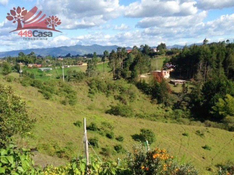 Foto Lote en Venta en Vereda Las Cuchillas, Rionegro, Antioquia - $ 1.320.000.000 - LOV88128 - BienesOnLine