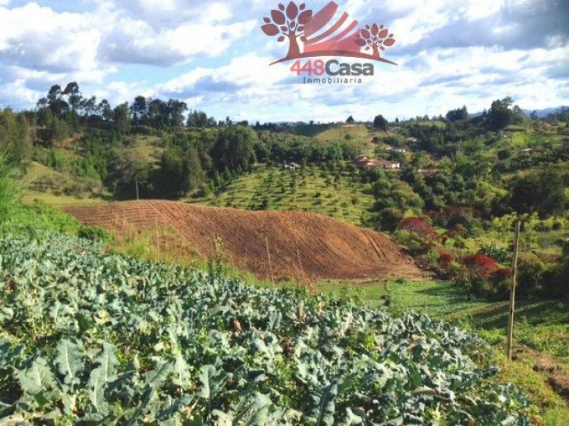 Foto Lote en Venta en Vereda Las Cuchillas, Rionegro, Antioquia - $ 660.000.000 - LOV88130 - BienesOnLine