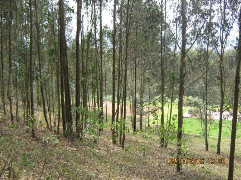 Lote en Venta en  Sibaté, Cundinamarca