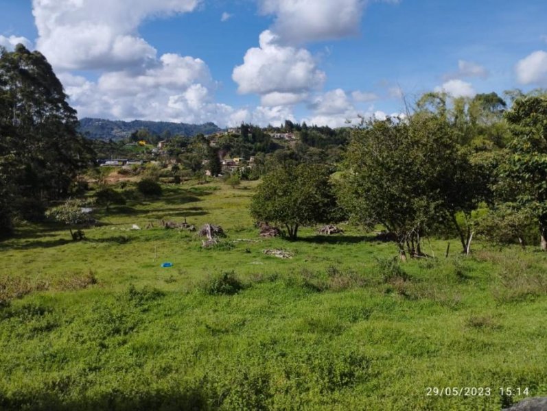 Foto Lote en Venta en Vereda Toldas, Guarne, Antioquia - $ 6.200.000.000 - LOV202356 - BienesOnLine