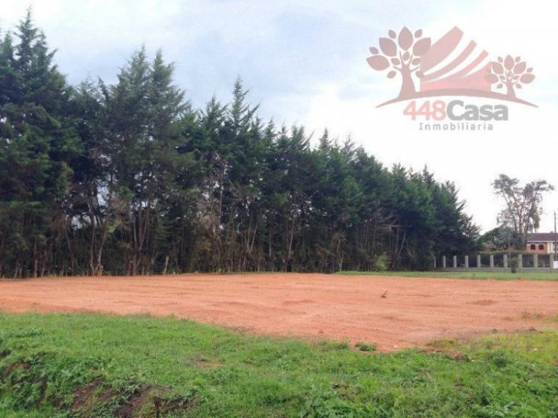Foto Lote en Venta en Rionegro, Antioquia - $ 450.000.000 - LOV79402 - BienesOnLine