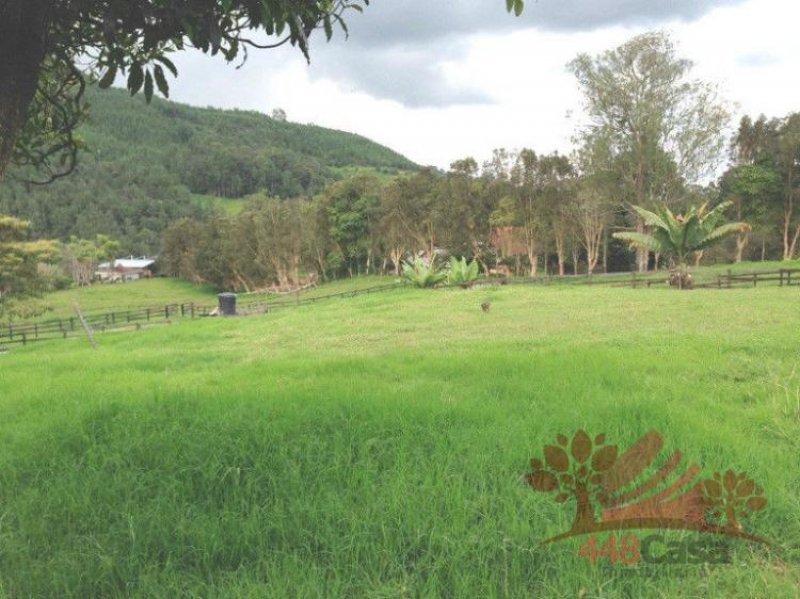 Foto Lote en Venta en Llanogrande, Rionegro, Antioquia - $ 3.380.000.000 - LOV82030 - BienesOnLine