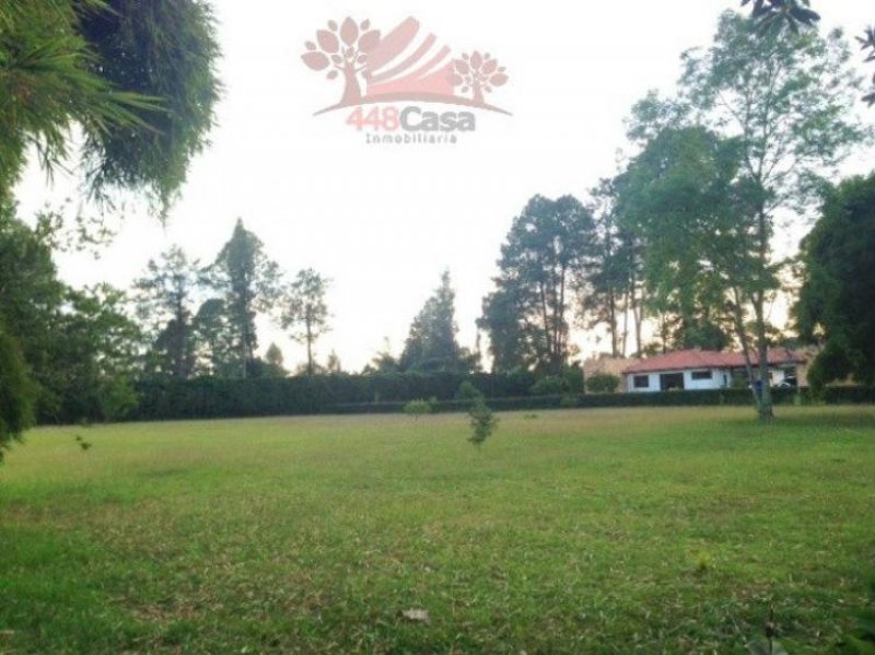Foto Lote en Venta en Llanogrande, Rionegro, Antioquia - $ 544.000.000 - LOV82730 - BienesOnLine