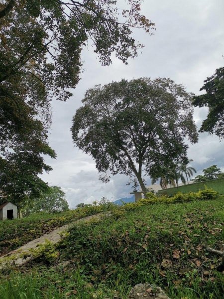 Lote en Venta en fusagasuga FUSAGASUGA  CUNDINAMARCA COLOMBIA, Cundinamarca