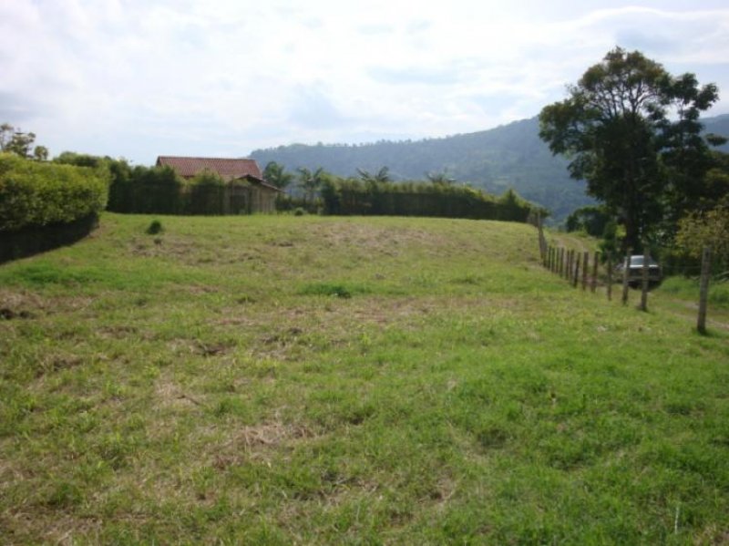 Foto Lote en Venta en Quimbaya, Quindío - $ 200.000.000 - LOV55045 - BienesOnLine