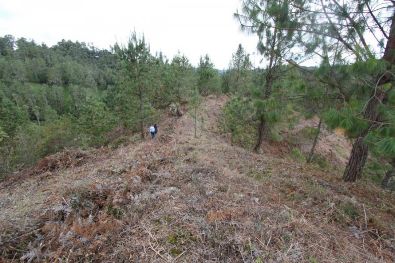Foto Lote en Venta en Vía Don Diego - La Ceja, El Retiro, Antioquia - $ 2.800.000.000 - LOV192872 - BienesOnLine