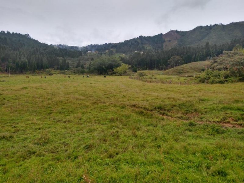 Lote en Venta en Vereda La Hondita Guarne, Antioquia