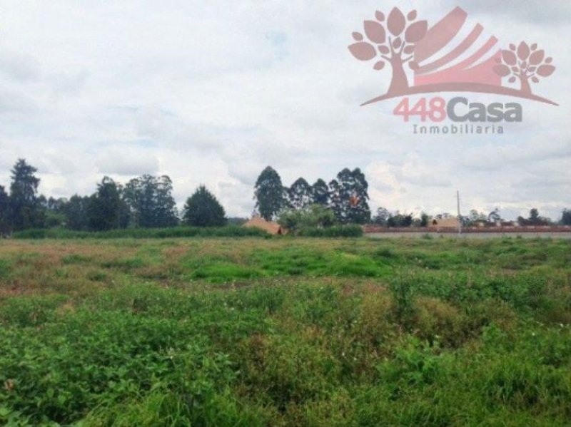 Foto Lote en Venta en Llanogrande, Rionegro, Antioquia - $ 3.060.000.000 - LOV80969 - BienesOnLine