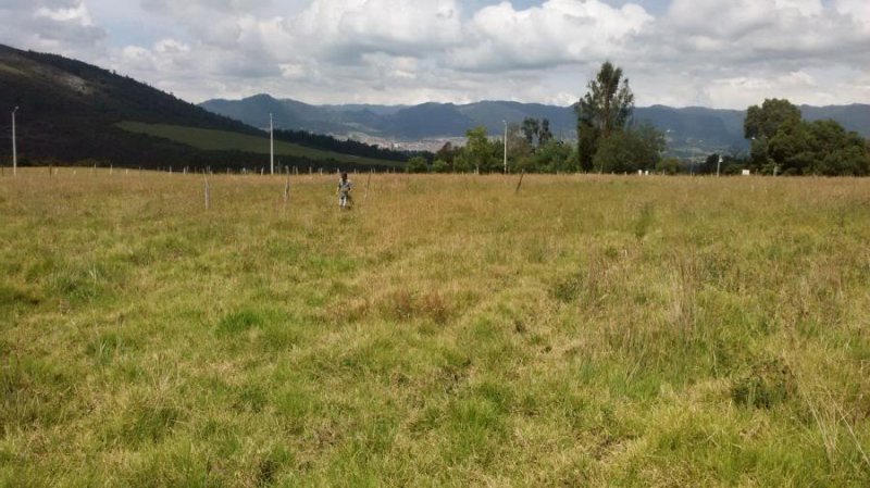 Lote en Venta en  Zipaquirá, Cundinamarca