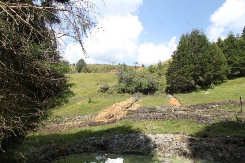 Foto Lote en Venta en Vereda La Mulona, Guarne, Antioquia - $ 6.000.000.000 - LOV192624 - BienesOnLine