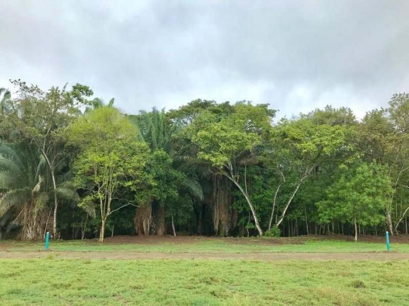 Foto Lote en Venta en vereda chimbi, Vereda chimbi, Tolima - $ 198.000.000 - LOV196117 - BienesOnLine
