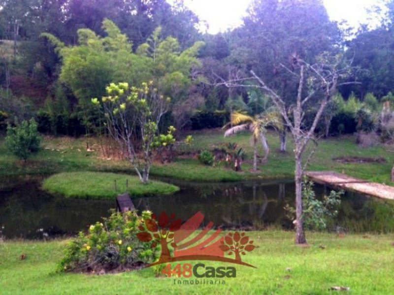 Foto Lote en Venta en Rionegro, Antioquia - $ 1.250.000.000 - LOV66972 - BienesOnLine