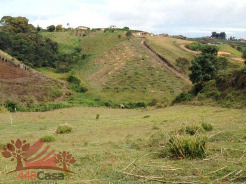 Foto Lote en Venta en Carmen de Viboral, Antioquia - $ 500.000.000 - LOV70044 - BienesOnLine