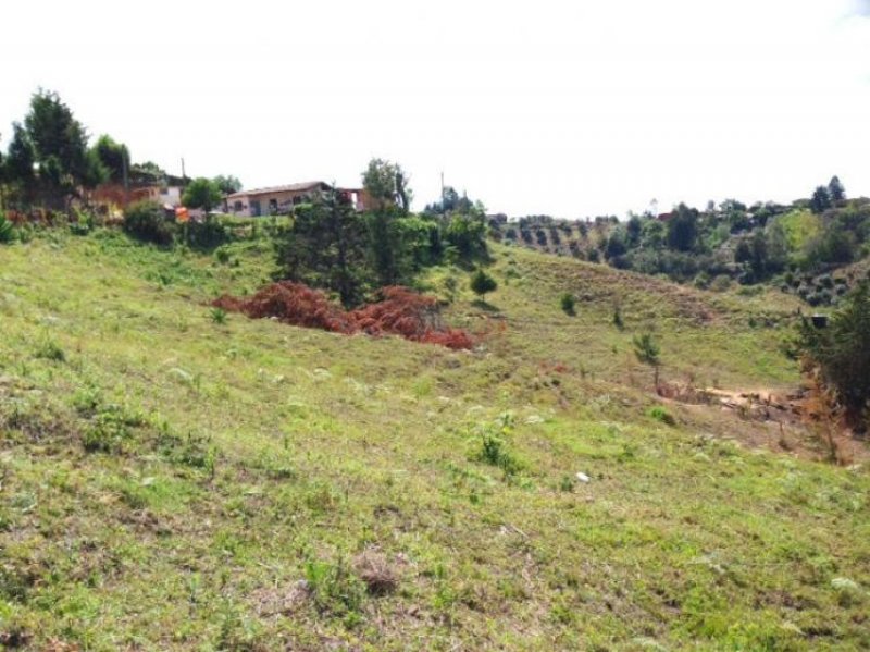 Foto Lote en Venta en Rionegro, Antioquia - $ 150.000.000 - LOV71828 - BienesOnLine