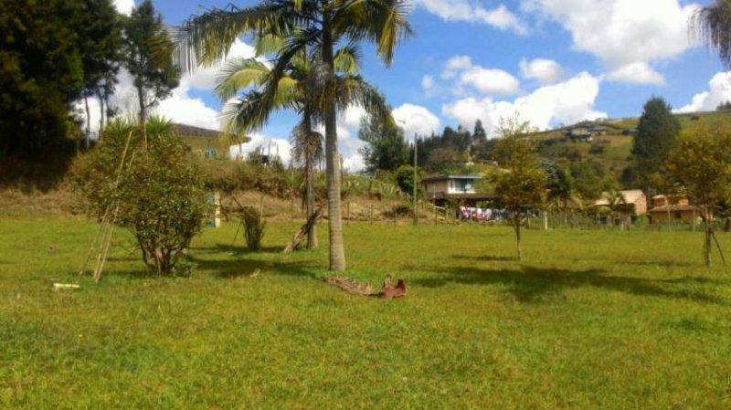 Foto Lote en Venta en Guarne, Antioquia - $ 320.000.000 - LOV137136 - BienesOnLine