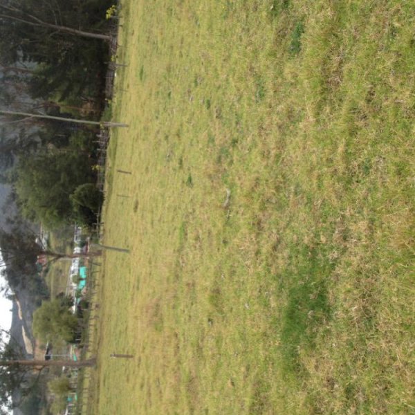 Foto Lote en Venta en CANAVITA, , Cundinamarca - $ 4.800.000.000 - LOV80423 - BienesOnLine