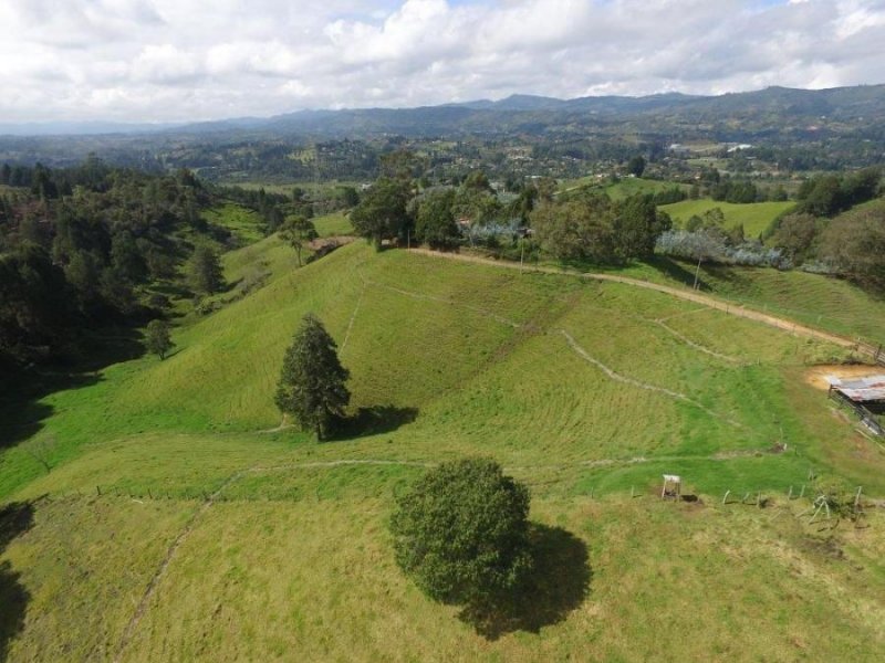 Foto Lote en Venta en Vereda La Clarita, Guarne, Antioquia - $ 460.000.000 - LOV192989 - BienesOnLine