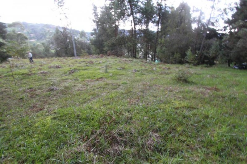 Foto Lote en Venta en Piedras Blancas, Guarne, Antioquia - $ 270.000.000 - LOV192561 - BienesOnLine