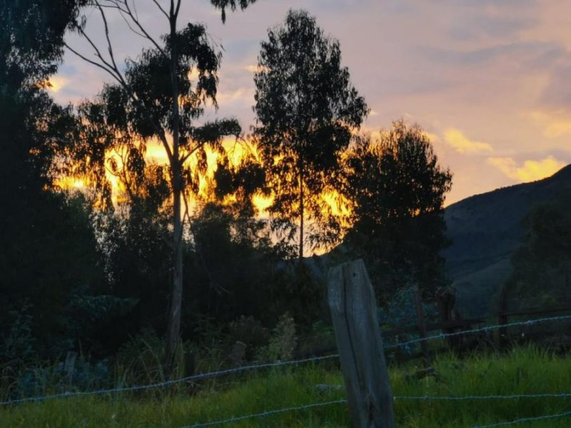 Lote en Venta en fusagasuga FUSAGASUGA  CUNDINAMARCA COLOMBIA, Cundinamarca