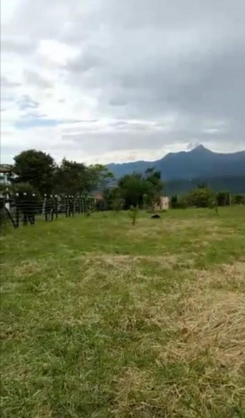 Lote en Venta en FUSAGASUGA  CUNDINAMARCA COLOMBIA FUSAGASUGA, Cundinamarca