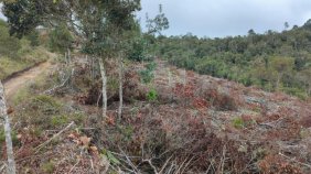 Lote en Venta en  Guarne, Antioquia