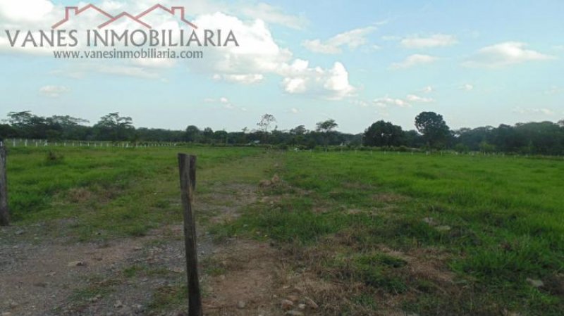 Foto Lote en Venta en Restrepo, Meta - $ 130.000.000 - LOV78443 - BienesOnLine