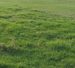 Lote en Venta en fusagasuga FUSAGASUGA  CUNDINAMARCA COLOMBIA, Cundinamarca