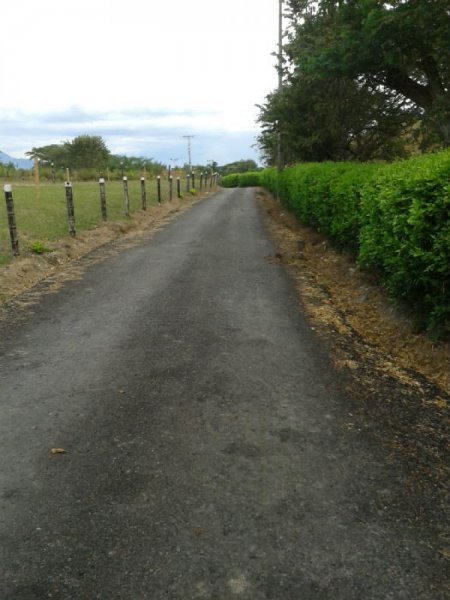 Foto Lote en Venta en SECTOR ESTADIO, Cartago, Valle del Cauca - $ 85.000 - LOV71712 - BienesOnLine