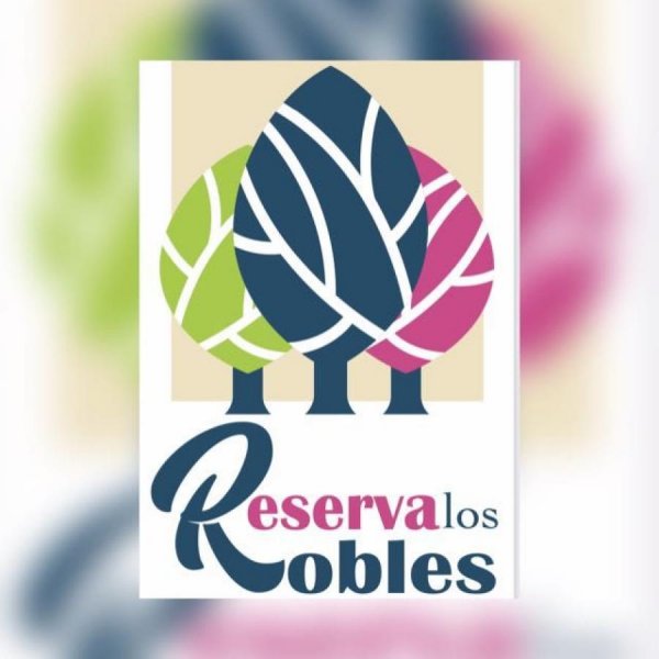 Foto Lote en Venta en SECTOR DEL CHARCÓN, CARMEN DE APICALÁ, Tolima - $ 27.000.000 - LOV189519 - BienesOnLine
