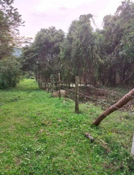 Lote en Venta en  Vereda Payacal, Cundinamarca