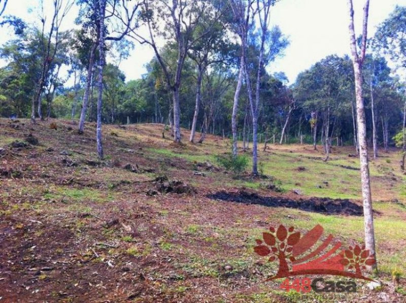 Foto Lote en Venta en Rionegro, Antioquia - $ 552.500.000 - LOV68521 - BienesOnLine